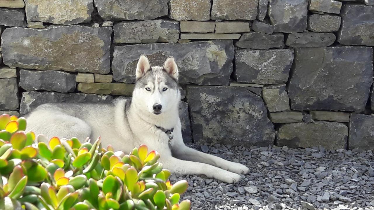 Cois Na Habhann Doolin Eksteriør bilde